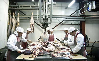 http://www.dreamstime.com/royalty-free-stock-photo-butchers-cut-up-carcasses-image22746745