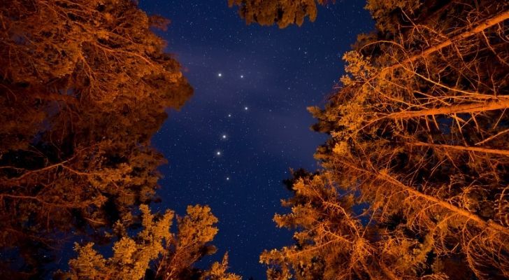 The Big Dipper seen in the sky through trees