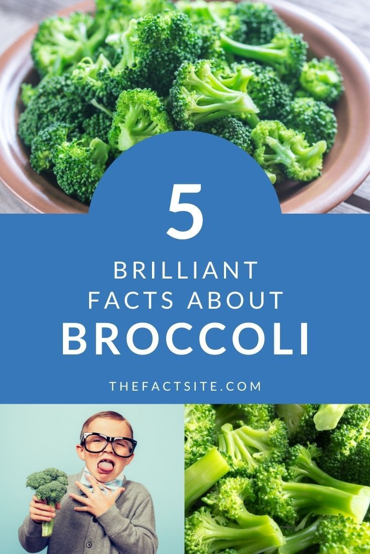 5 Brilliant Facts About Broccoli