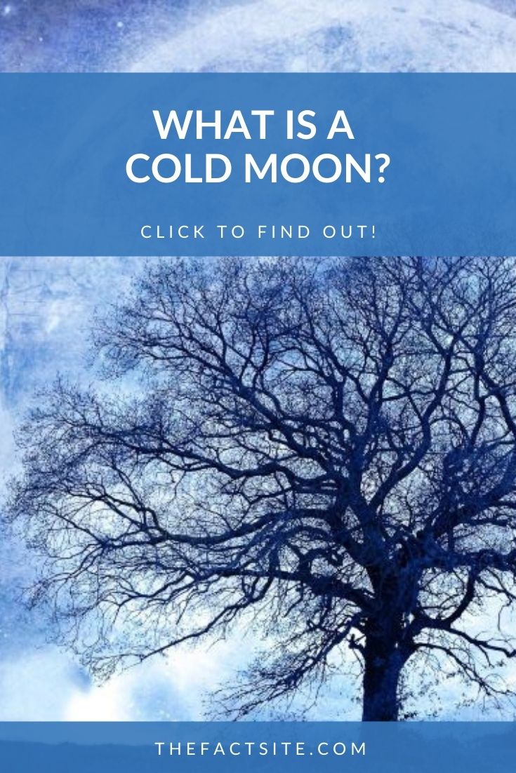 What Is A Cold Moon?