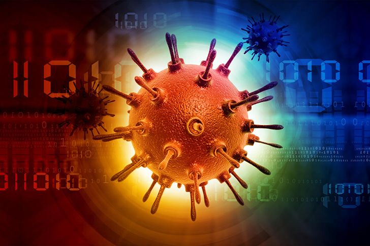 Over 6,000 new computer viruses are created and released every month.