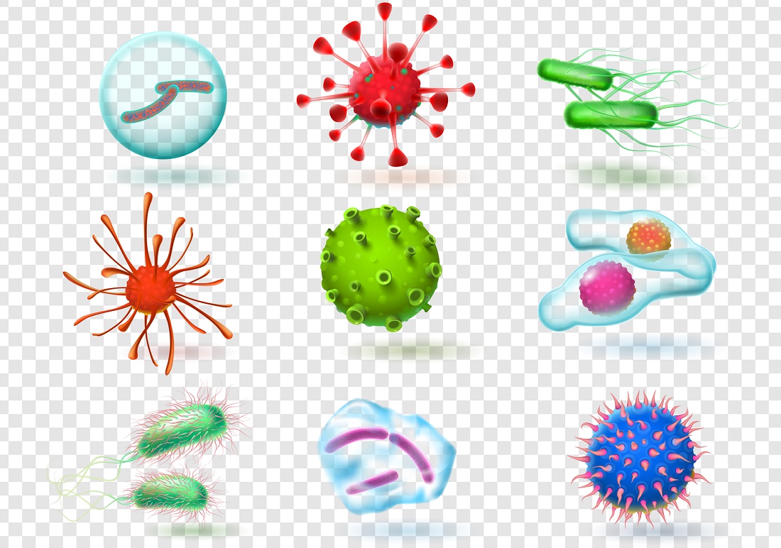 Viruses. bacteria germs microorganism