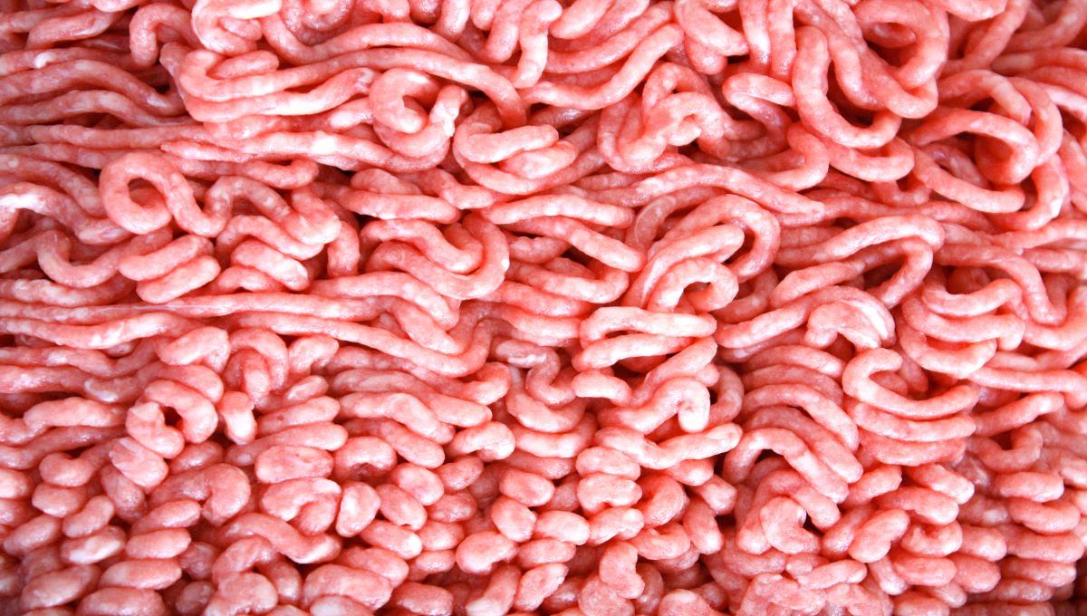 dreamstime_raw ground minced beef meat