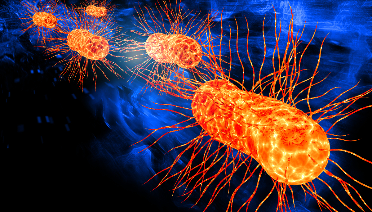 e. coli illustration