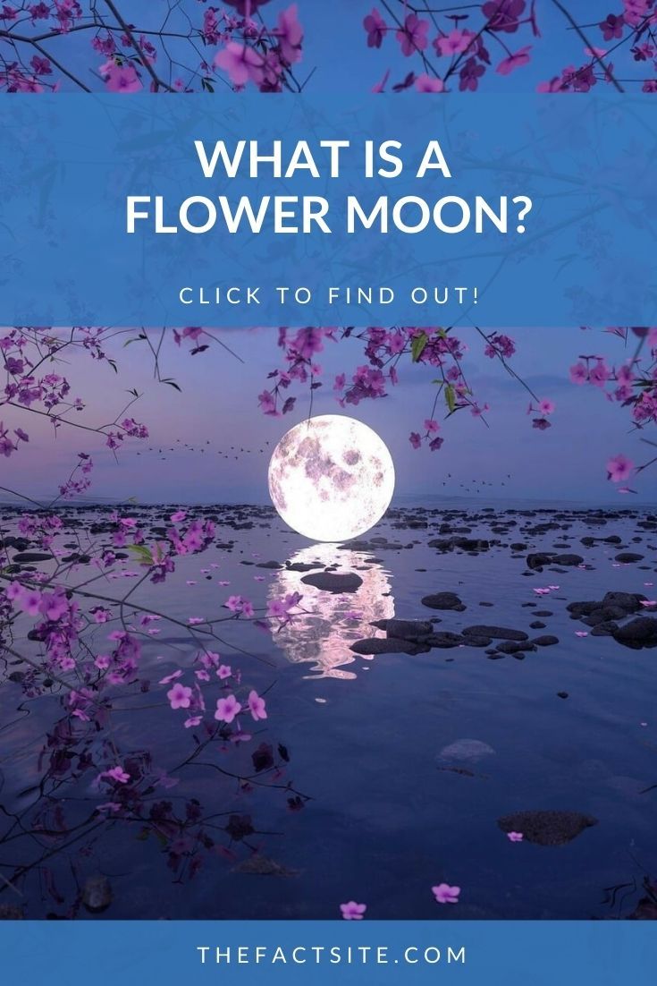 What Is A Flower Moon?