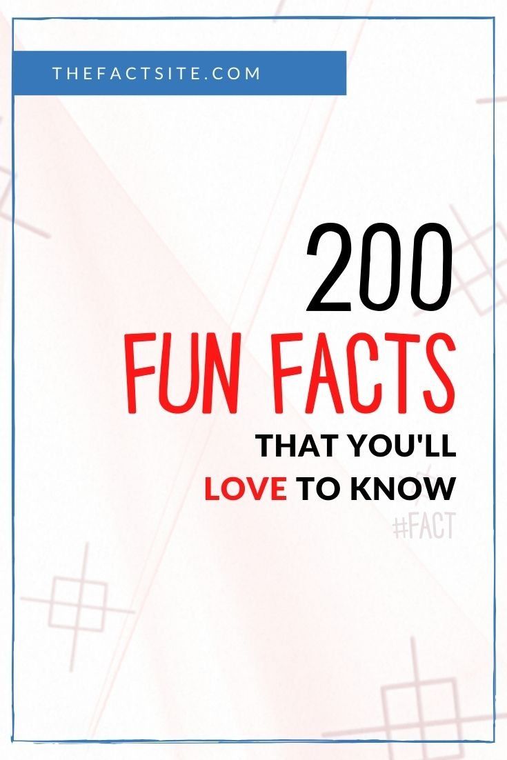 200 Fun Facts That You'll Love To Know