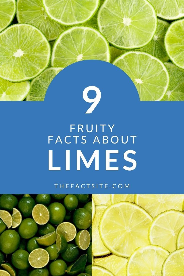 9 Fruity Facts About Limes