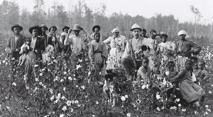 An old black and white photo of cotton pickers