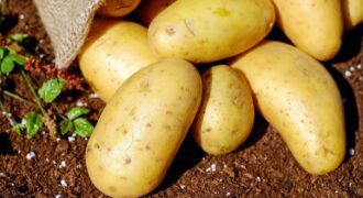 10 Facts About Potatoes