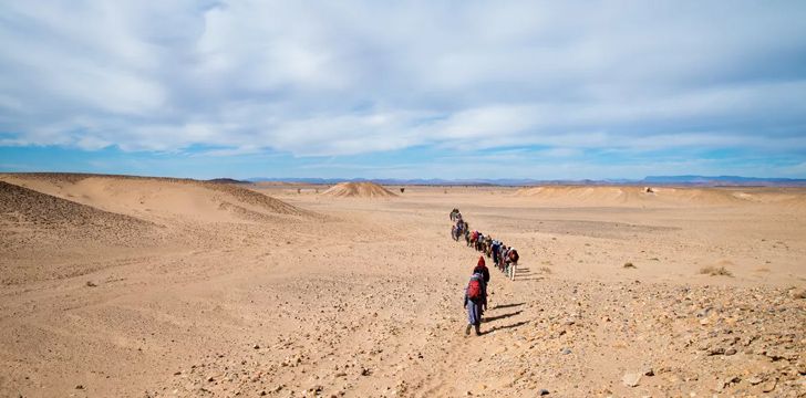 Only a quarter of the Sahara Desert is sandy.