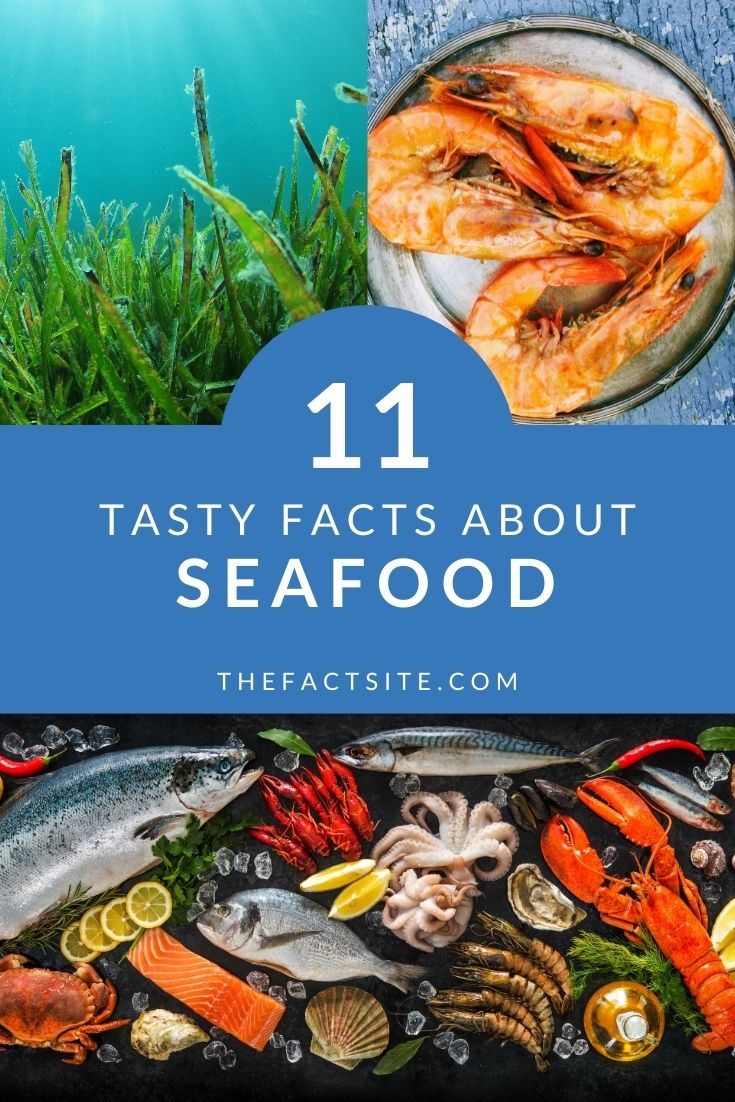 11 Tasty Facts About Seafood