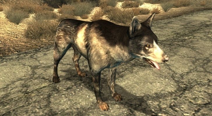 Dogmeat the dog from Fallout 3