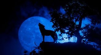 What is a wolf moon?