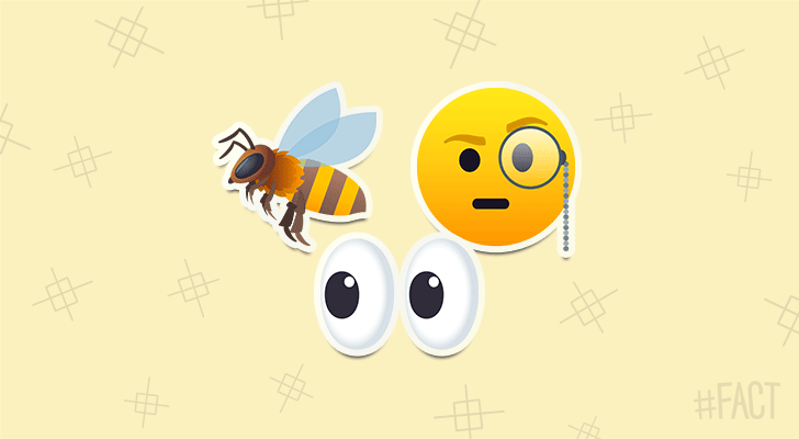 Honeybees can recognize human faces.