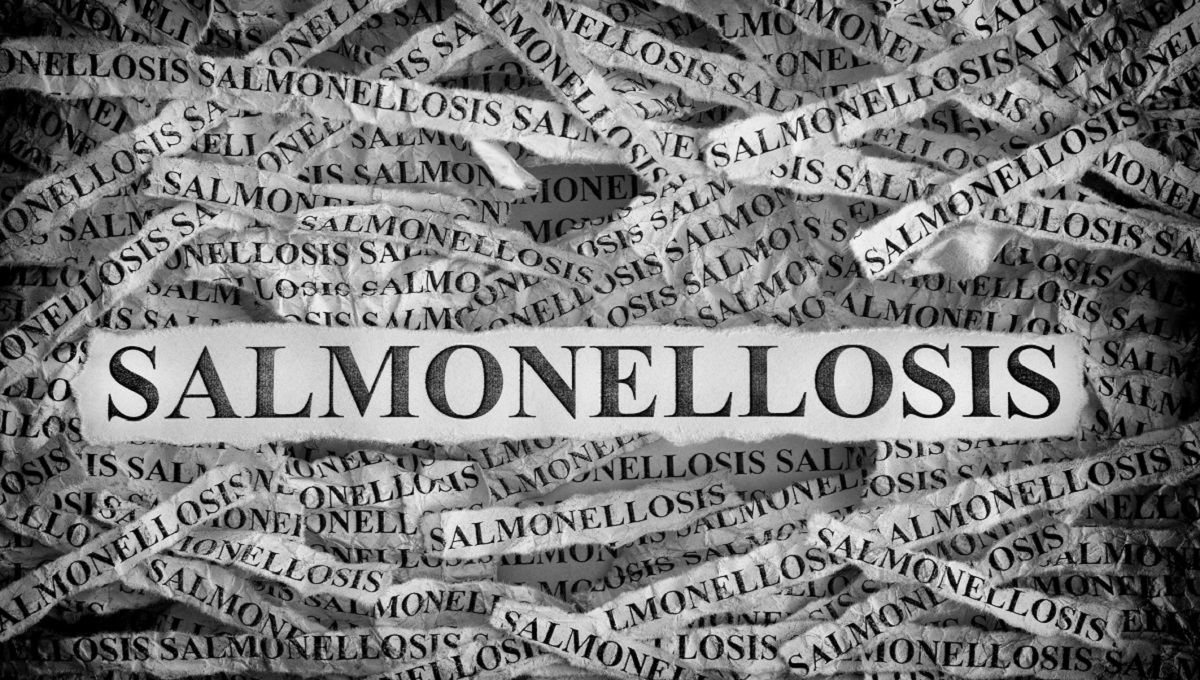 Torn pieces of paper with the words Salmonellosis