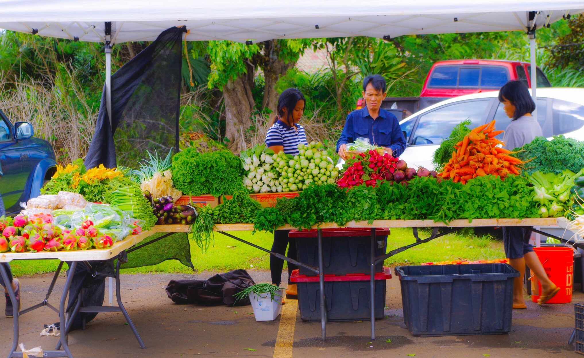 Hawaii Farmer's Market