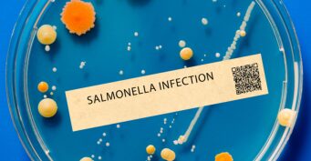 salmonella infection
